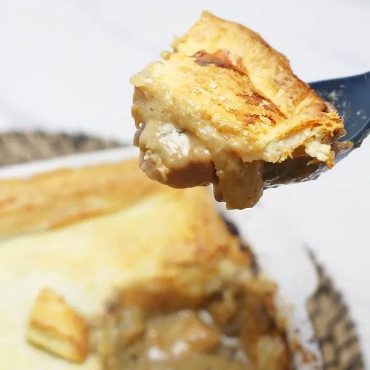 chicken pot pie with pie crust