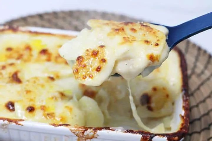 potato gratin