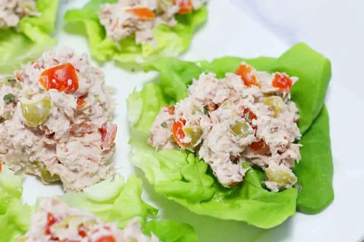 tuna recipes