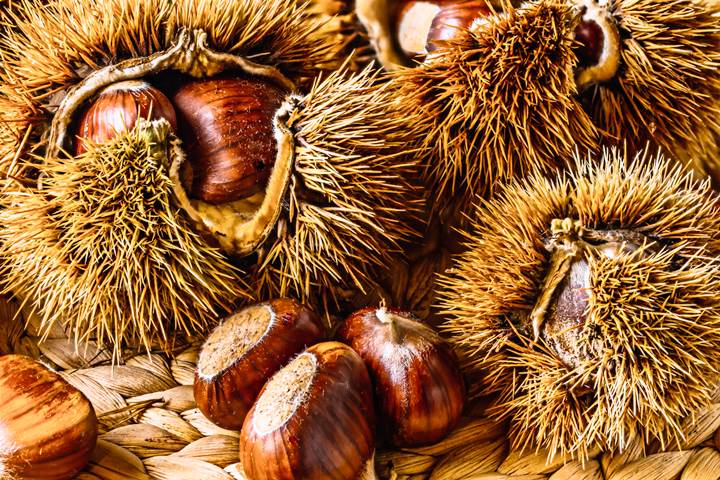 sweet chestnuts