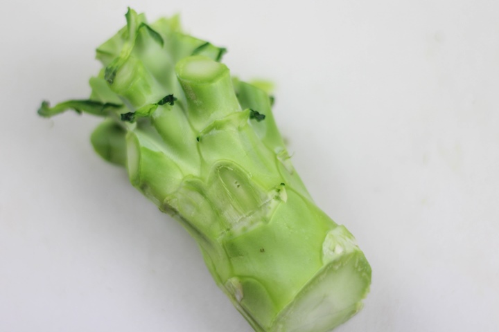 main broccoli stalk