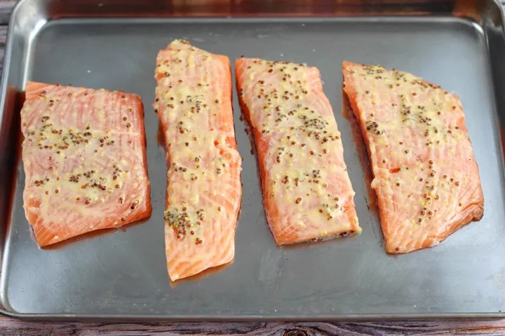 pre-basted salmon fillets