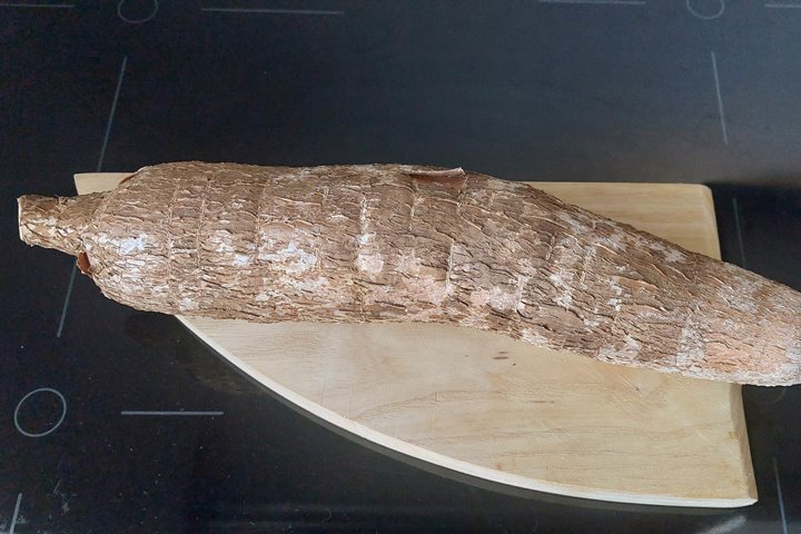 manioc