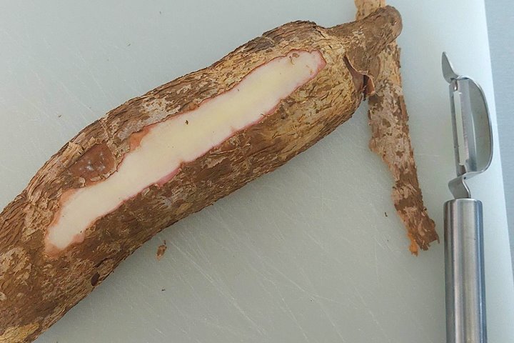 cassava root