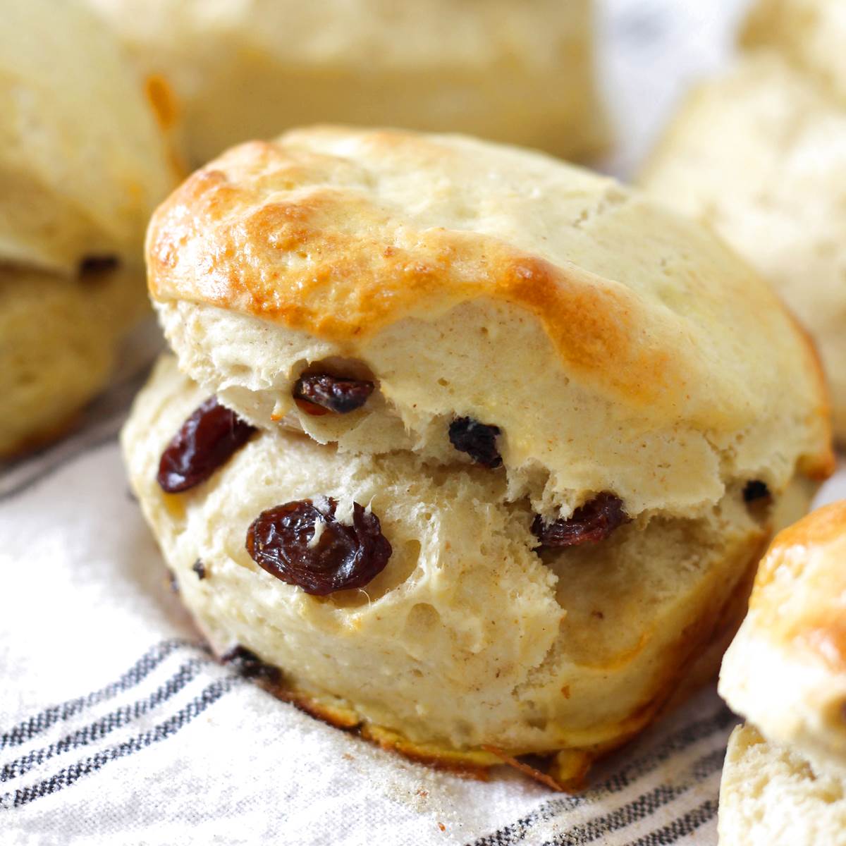Golden brown scone with raisins on a striped cloth, close-up view.